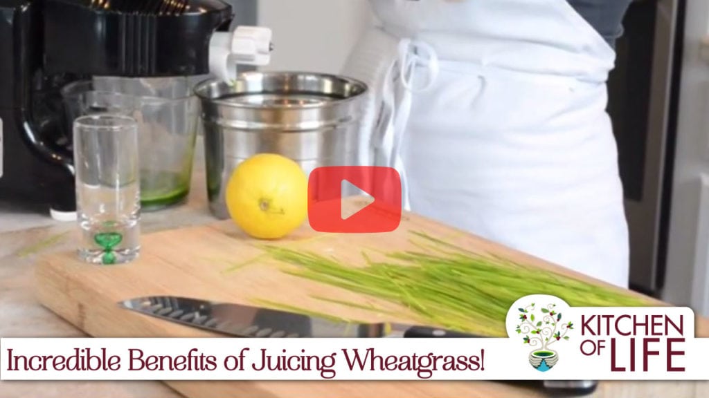 Laura Bushey of kitchenoflife.com demonstrating how to juice wheatgrass and discussing the nutritional benefits of wheatgrass