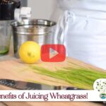 Laura Bushey of kitchenoflife.com demonstrating how to juice wheatgrass and discussing the nutritional benefits of wheatgrass